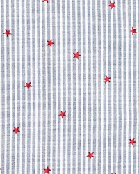 Kid Stars and Stripes Button-Down Shirt