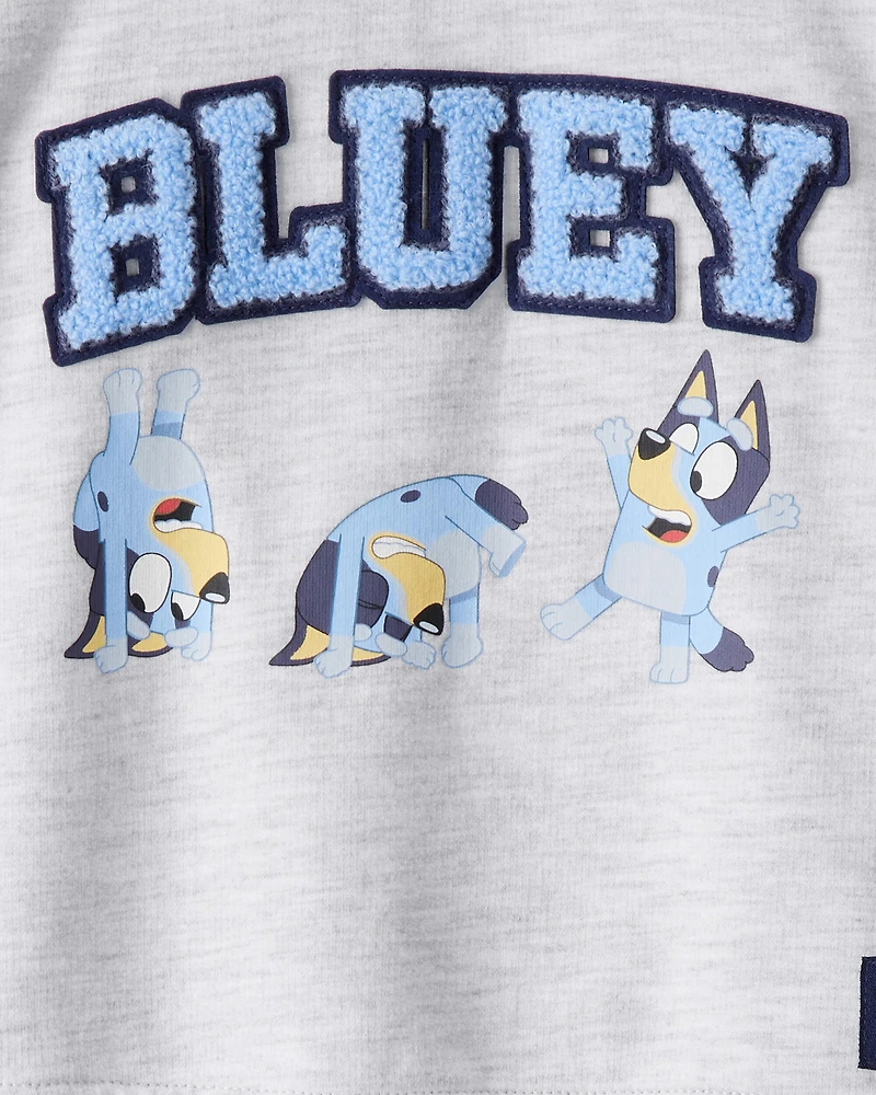 Baby Boy Bluey Colorblock French Terry Sweatshirt - Grey