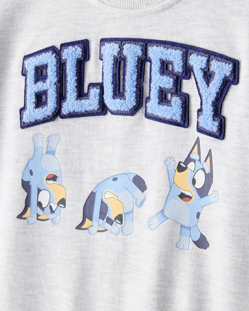 Toddler Boy Bluey Colorblock French Terry Sweatshirt - Grey