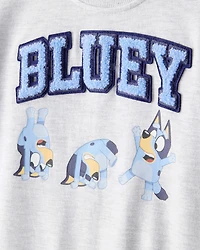 Toddler Boy Bluey Colorblock French Terry Sweatshirt - Grey