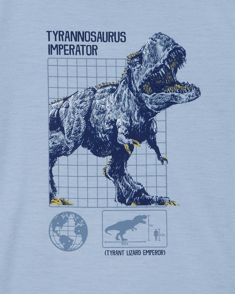 Boys Dinosaur Loose Fit 2-Piece Pajamas - Blue
