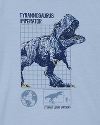 Boys Dinosaur Loose Fit 2-Piece Pajamas - Blue