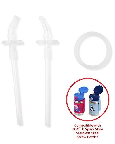 Stainless Steel Straw Bottle Extra Straws - 2-Pack