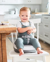 Sleek Seat Booster - Grey/White