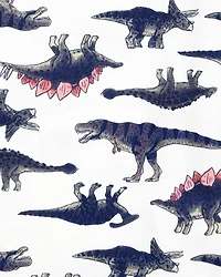 Kid 4-Piece Dinosaur Cotton Pajamas