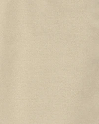 Baby Slim Tapered Chino Pants
