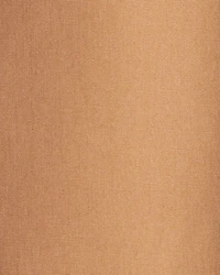 Toddler Boy  Cotton Everyday Pull-On Jogger - Brown