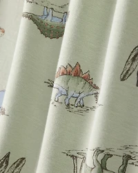 Boys Dinosaur Print PurelySoft Long-Sleeve 2-Piece Pajamas - Green