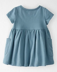 Baby Organic Cotton Pocket Dress in Cottage Blue