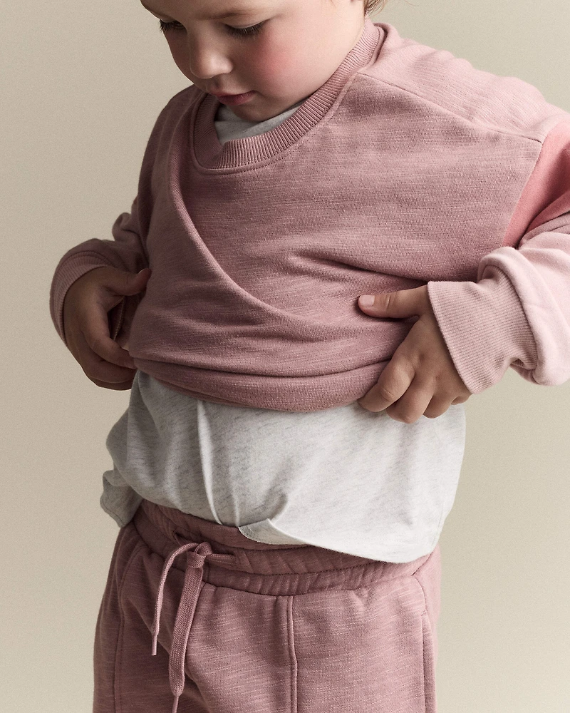 Toddler Girl Colorblock Dolman-Sleeve Sweatshirt - Mauve