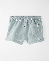 Baby Boy Recycled Seagull-Print Swim Trunks