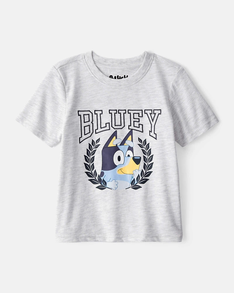 Toddler Boy 2-Piece Bluey Tee & French Terry Joggers Set - Grey