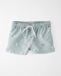 Baby Boy Recycled Seagull-Print Swim Trunks