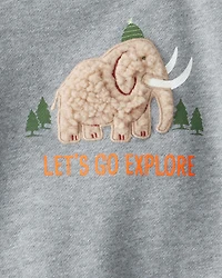 Baby Boy DayDream Fleece Mammoth Pullover Sweatshirt - Grey