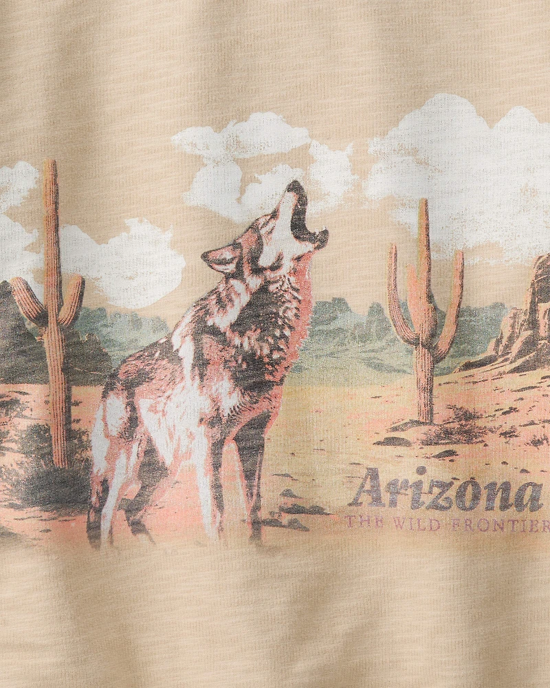 Boys Arizona Western Cotton Pullover Sweatshirt - Brown