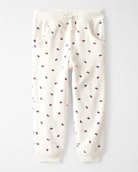 Toddler Girl 2-Piece Organic Cotton Velour Set in Wild Rose Print