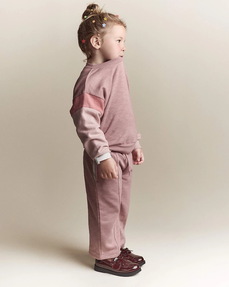 Toddler Girl Colorblock Dolman-Sleeve Sweatshirt - Mauve