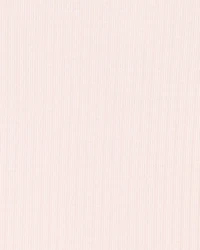 Baby Girl 2-Pack Long-Sleeve PurelySoft Bodysuits- Pink