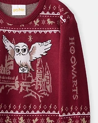 Boys Harry Potter® Long-Sleeve Sweater - Red