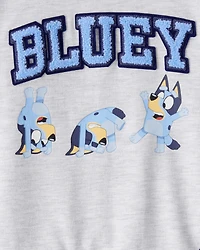 Toddler Boy Bluey Colorblock French Terry Sweatshirt - Grey