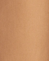 Toddler Boy  Cotton Everyday Pull-On Jogger - Brown