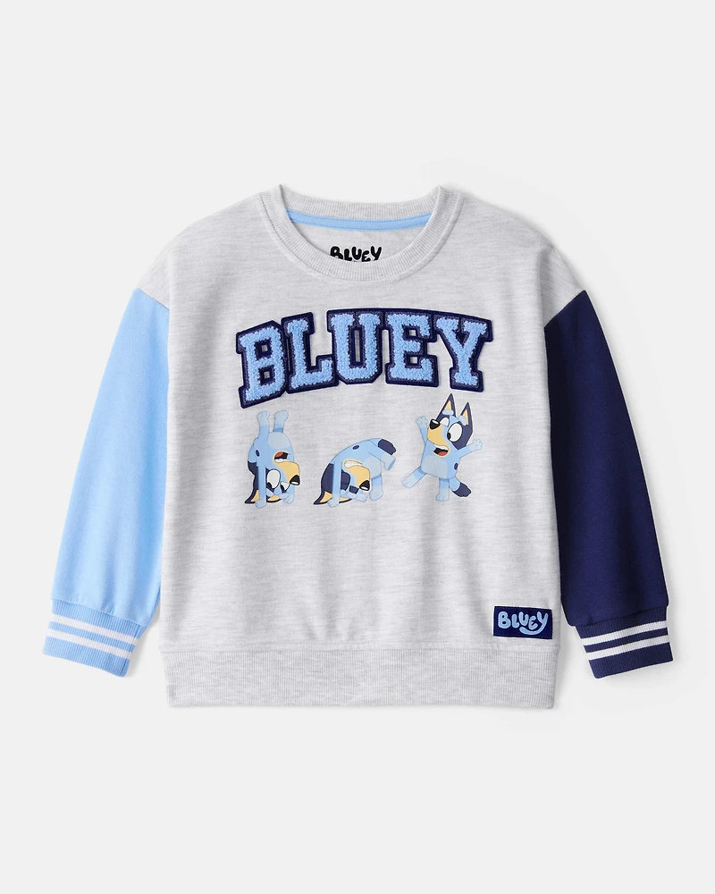 Toddler Boy Bluey Colorblock French Terry Sweatshirt - Grey