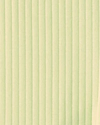 Baby Girl Bike Shorts - Green