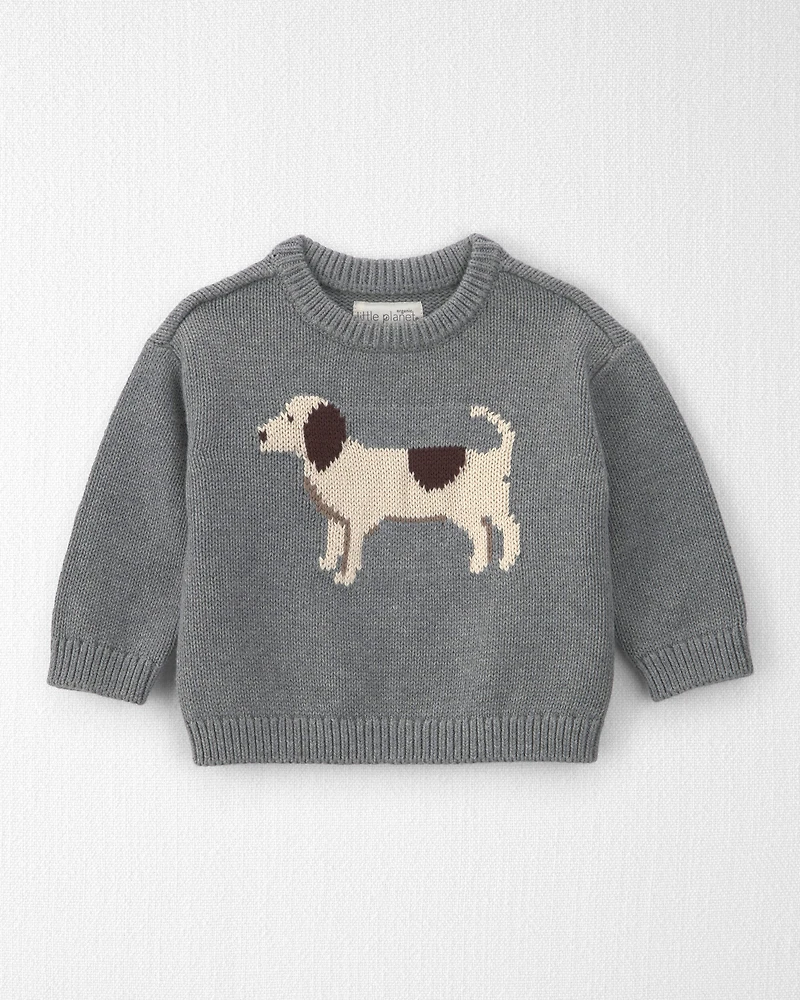 Baby Organic Cotton Dog Sweater Knit Pullover