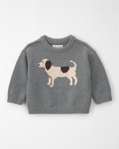 Baby Organic Cotton Dog Sweater Knit Pullover