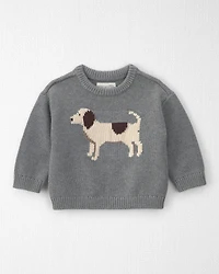Baby Organic Cotton Dog Sweater Knit Pullover