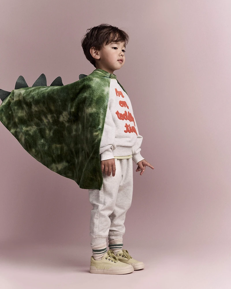 Toddler Believe In Dragons Dress Up Cape - Green