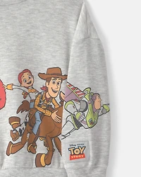 Toddler Boy Pixar© Toy Story French Terry Long-Sleeve Pullover Sweatshirt - Grey