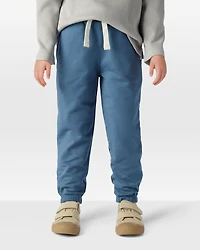 Toddler 2-Pack Organic Cotton French Terry Sweatpants