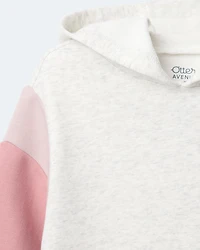 Toddler Girl Colourblock Long-Sleeve Hooded Sweatshirt Dress - Light Heather Grey