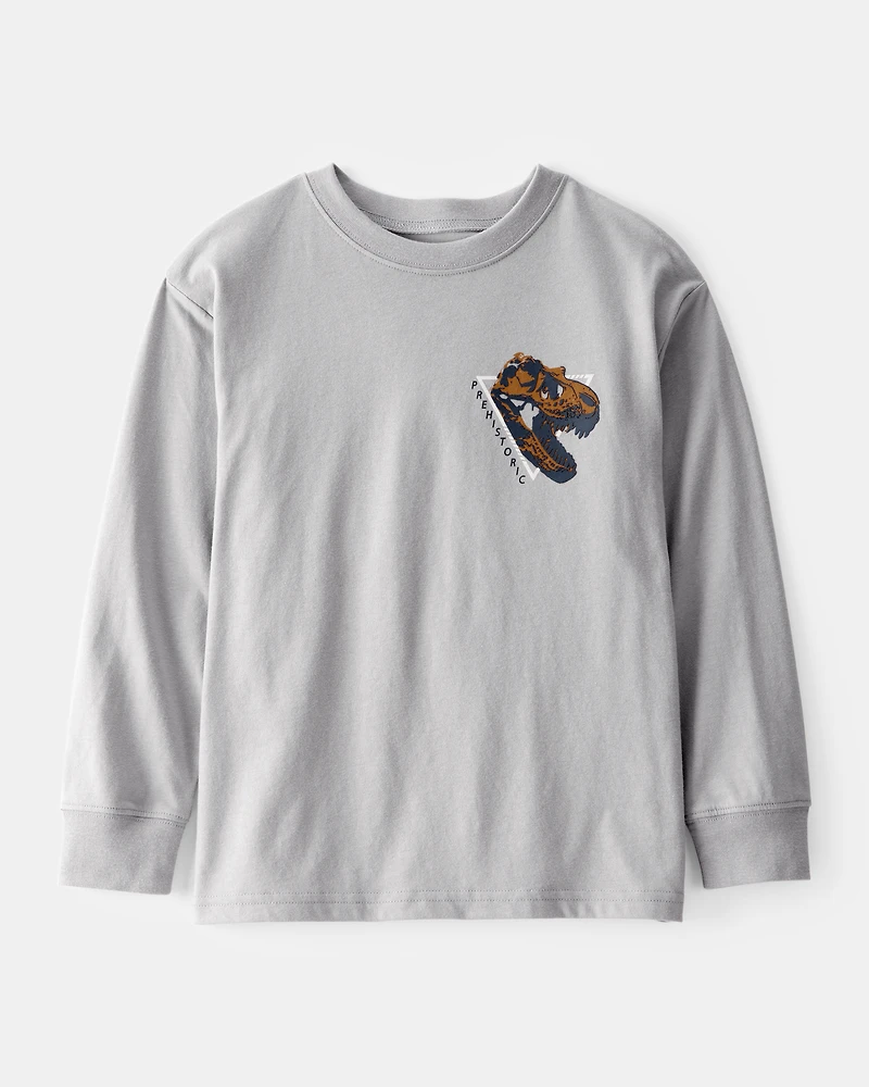Boys Long-Sleeve T-Rex Tee - Grey