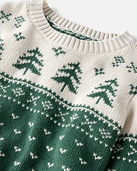 Kid Organic Cotton Evergreen Fair Isle Sweater