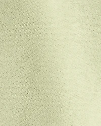 Baby Boy Cotton Pull-On Pants - Green