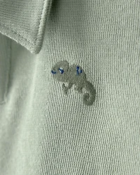 Toddler Boy 2-Piece Top & Short Set - Green