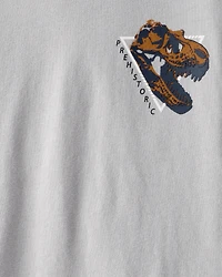 Boys Long-Sleeve T-Rex Tee - Grey