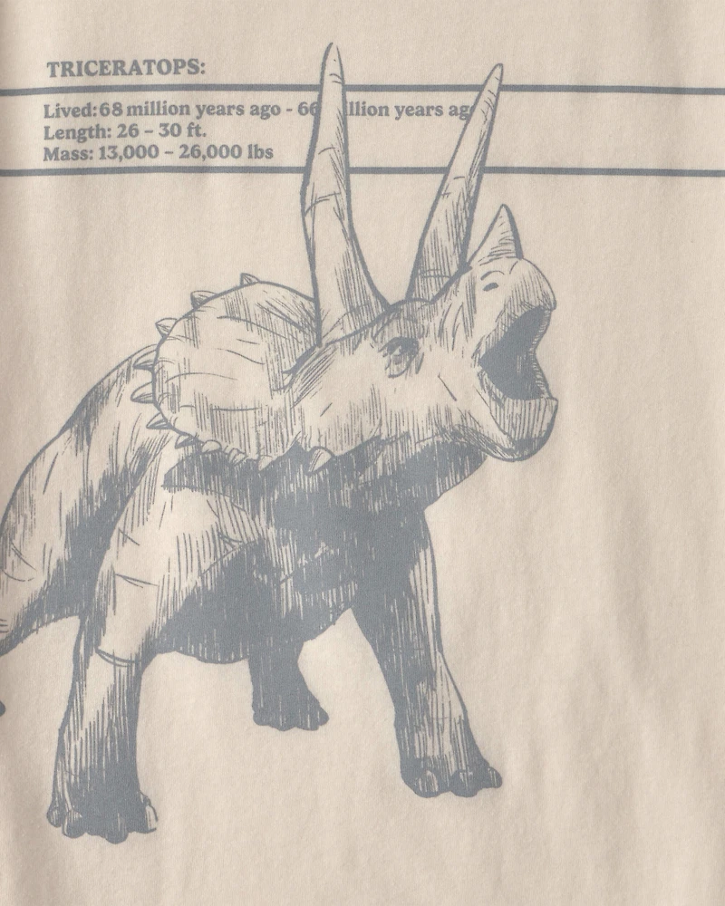 Boys Triceratops Dinosaur Graphic Tee – Cream