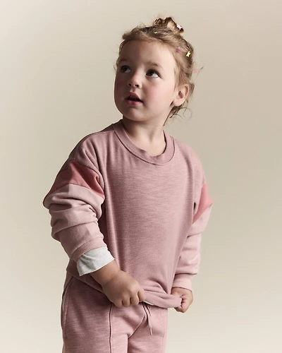Toddler Girl Colourblock Dolman-Sleeve Sweatshirt - Mauve