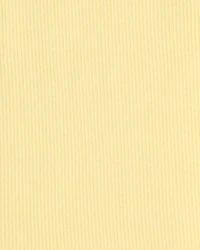 Girls Solid Bike Shorts - Yellow