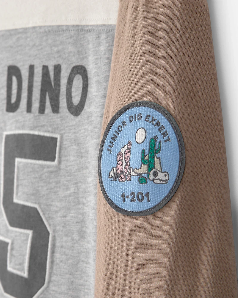 Toddler Boy 'Camp Dino' Long-Sleeve T-Shirt - Brown/Grey