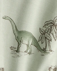 Baby Boy 2-Pack Dinosaur Print PurelySoft Pull-On Pants - Green