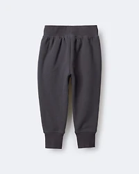 Toddler City Park™ Jogger Pant - Dark Grey