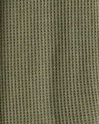 Baby Boy 2-Pack Dinosaur Print PurelySoft Pull-On Pants - Green