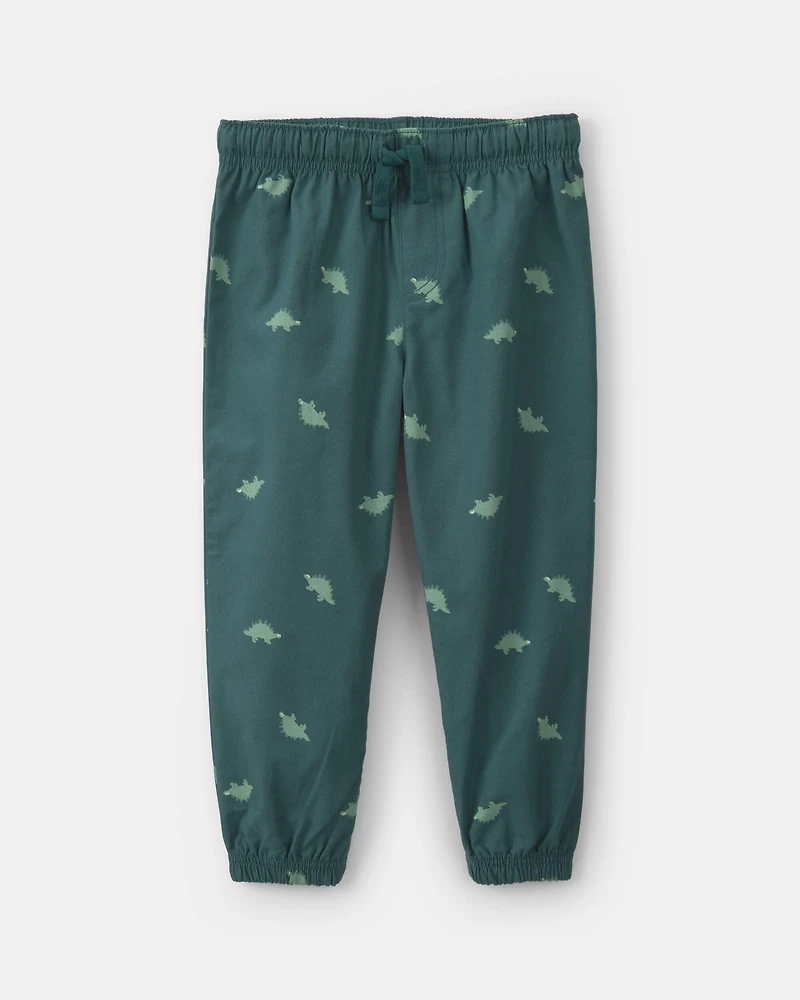Baby Boy 2-Piece Dinosaur Fleece Hooded Top & Pant Set - Grey/Green