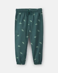 Baby Boy 2-Piece Dinosaur Fleece Hooded Top & Pant Set - Grey/Green