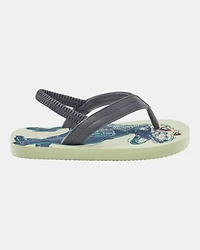 Dinosaur Flip Flops