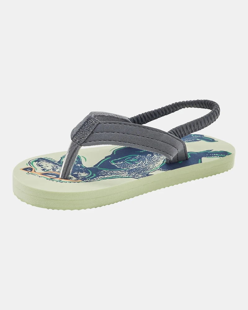 Dinosaur Flip Flops
